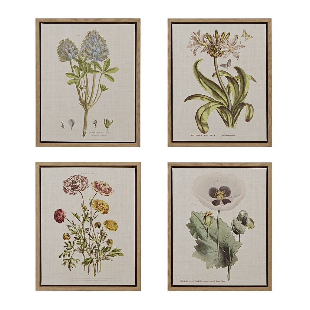 Herbal Botany 4-Piece Botanical Illustration Framed Canvas Wall Art Set - Image 6